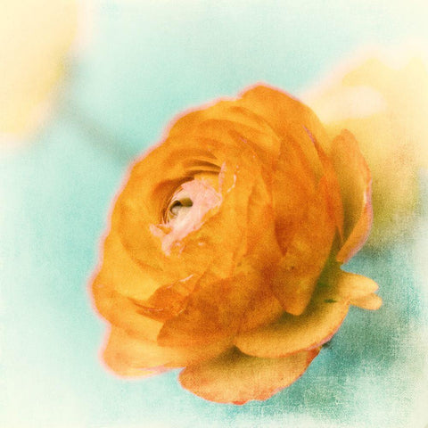 Orange Black Ornate Wood Framed Art Print with Double Matting by Stalus, Judy