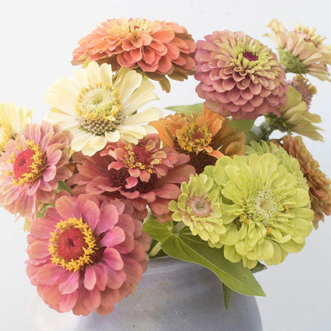 Bouque White Modern Wood Framed Art Print with Double Matting by Stalus, Judy