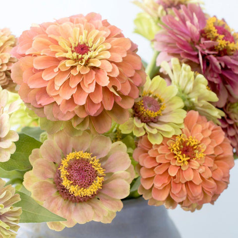 Summer Black Modern Wood Framed Art Print by Stalus, Judy