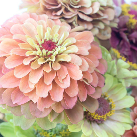 Elegant Black Modern Wood Framed Art Print with Double Matting by Stalus, Judy