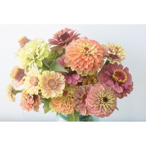 Victorian White Modern Wood Framed Art Print by Stalus, Judy