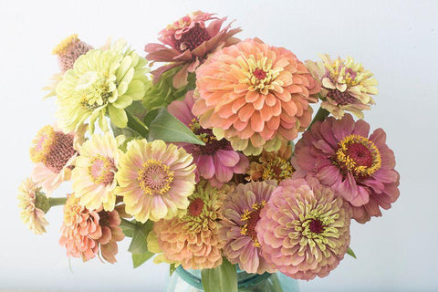 Victorian White Modern Wood Framed Art Print with Double Matting by Stalus, Judy