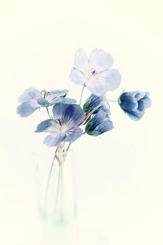 Blue White Modern Wood Framed Art Print with Double Matting by Stalus, Judy