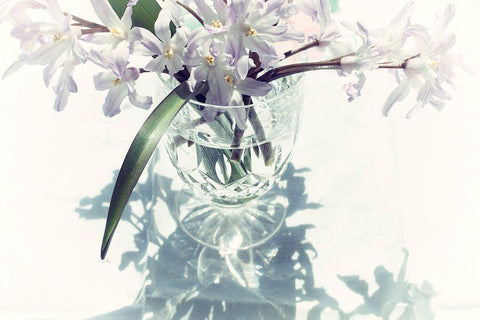 Shadow Black Ornate Wood Framed Art Print with Double Matting by Stalus, Judy