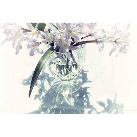 Shadow White Modern Wood Framed Art Print by Stalus, Judy