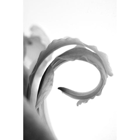 Wave White Modern Wood Framed Art Print by Stalus, Judy