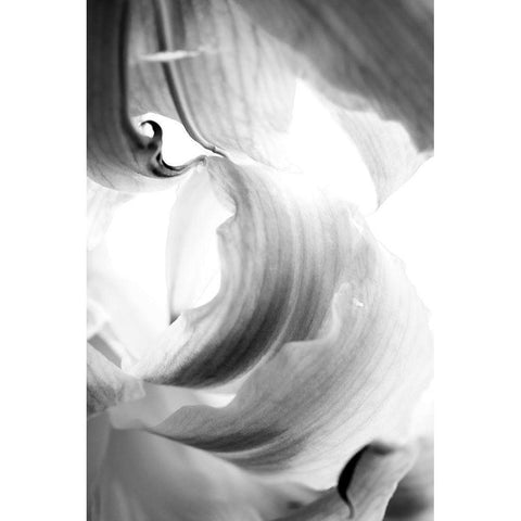 Breaker White Modern Wood Framed Art Print by Stalus, Judy