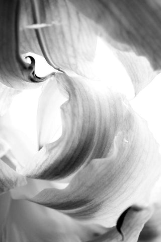 Breaker White Modern Wood Framed Art Print with Double Matting by Stalus, Judy