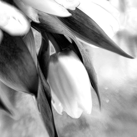 Remember Black Modern Wood Framed Art Print with Double Matting by Stalus, Judy