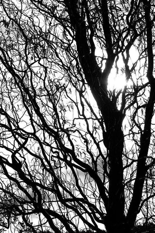 remember White Modern Wood Framed Art Print with Double Matting by Stalus, Judy