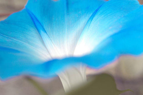 blue White Modern Wood Framed Art Print with Double Matting by Stalus, Judy