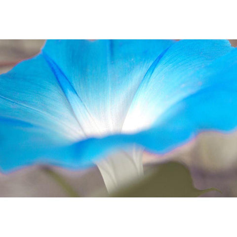 blue White Modern Wood Framed Art Print by Stalus, Judy