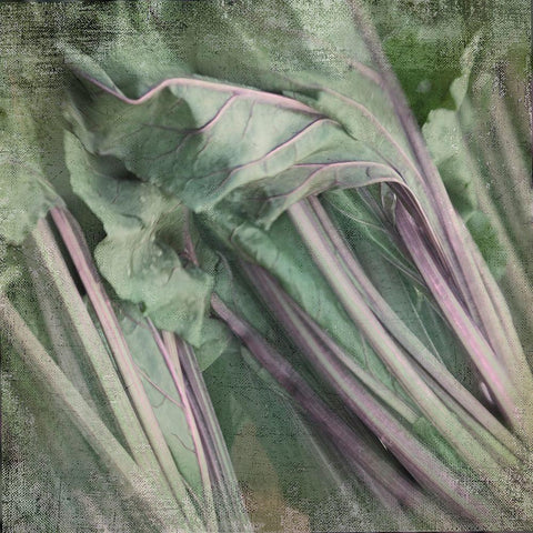 Day Dream Gold Ornate Wood Framed Art Print with Double Matting by Stalus, Judy