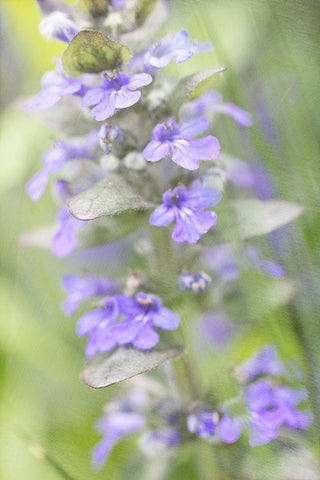 Blue Day White Modern Wood Framed Art Print with Double Matting by Stalus, Judy