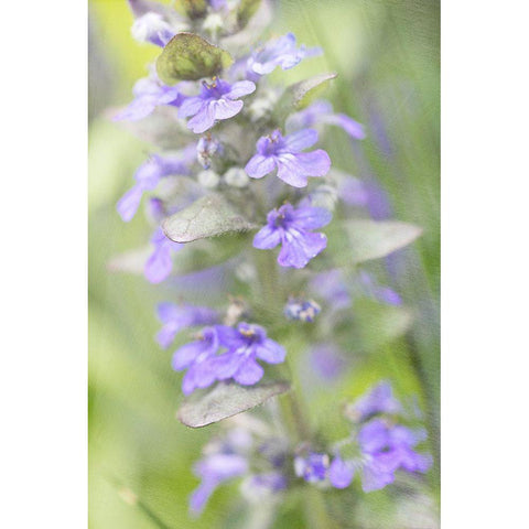 Blue Day Black Modern Wood Framed Art Print by Stalus, Judy