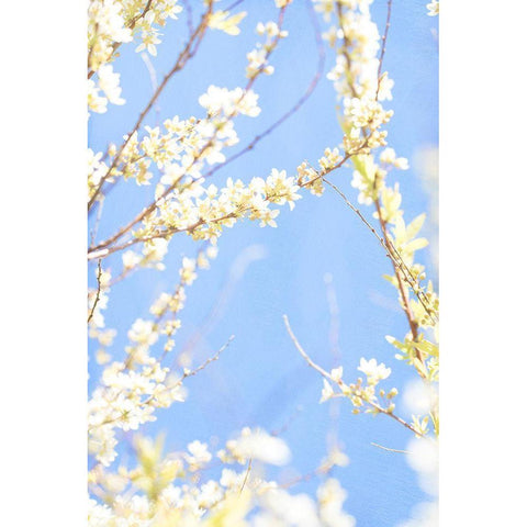 Blue Day White Modern Wood Framed Art Print by Stalus, Judy