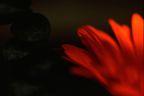 Flame White Modern Wood Framed Art Print with Double Matting by Stalus, Judy