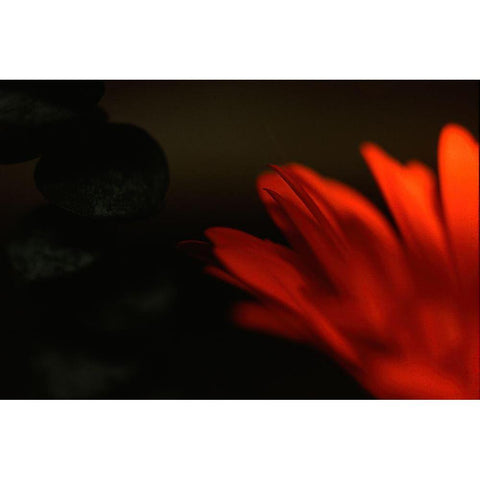 Flame Black Modern Wood Framed Art Print with Double Matting by Stalus, Judy