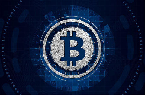 Bitcoin Cyber Black Ornate Wood Framed Art Print with Double Matting by Smith, Karen