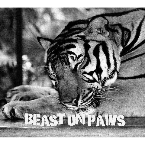 Beast on Paws White Modern Wood Framed Art Print by Smith, Karen