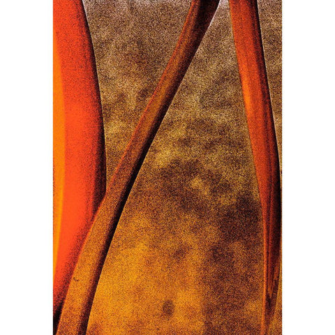 Fire Dance II Black Modern Wood Framed Art Print with Double Matting by Surma And Guillen