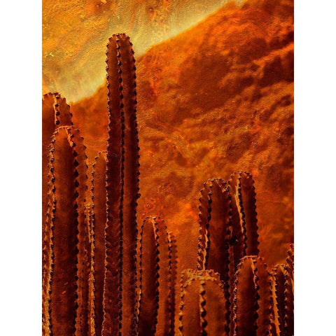 Desert Vibes I Black Modern Wood Framed Art Print by Surma And Guillen