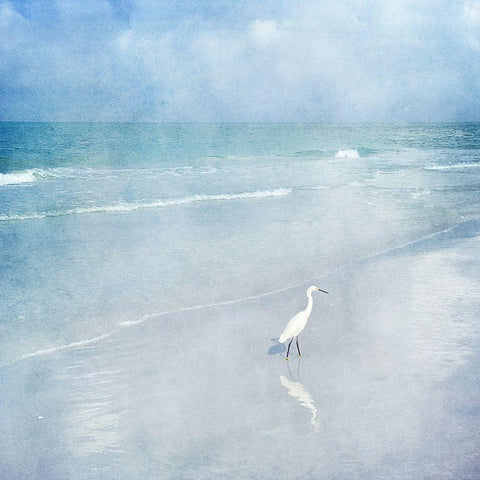 Coastal Beach Watercolor  Landscape Egret Sea Bird II Black Modern Wood Framed Art Print with Double Matting by Zalewski, Christine