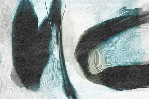 Overcome Black Ornate Wood Framed Art Print with Double Matting by Naskrent, Delores