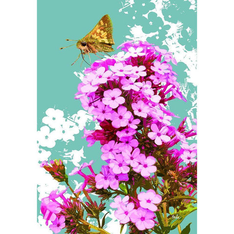 Skipper on Flox Gold Ornate Wood Framed Art Print with Double Matting by Evalia Designs