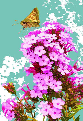 Skipper on Flox White Modern Wood Framed Art Print with Double Matting by Evalia Designs