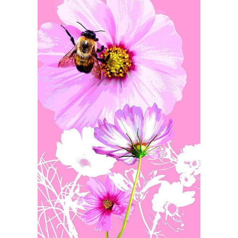 Bee on Cosmos White Modern Wood Framed Art Print by Evalia Designs