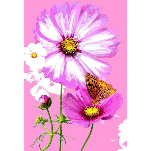 Butterfly on Cosmos Black Modern Wood Framed Art Print by Evalia Designs