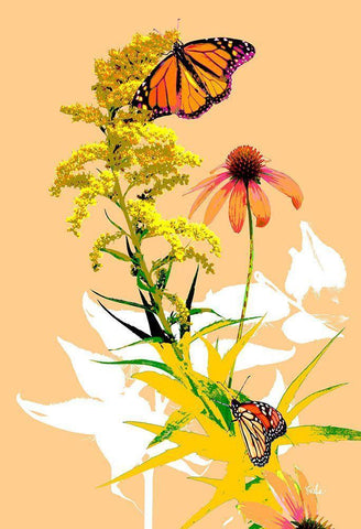 Monarchs on Golden Rod I White Modern Wood Framed Art Print with Double Matting by Evalia Designs