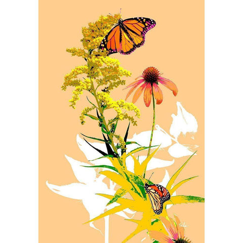 Monarchs on Golden Rod I Black Modern Wood Framed Art Print with Double Matting by Evalia Designs