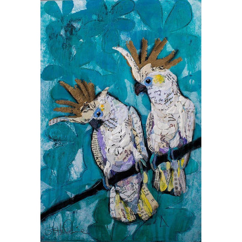 Two Cockatoos  Black Modern Wood Framed Art Print with Double Matting by St Hilaire, Elizabeth