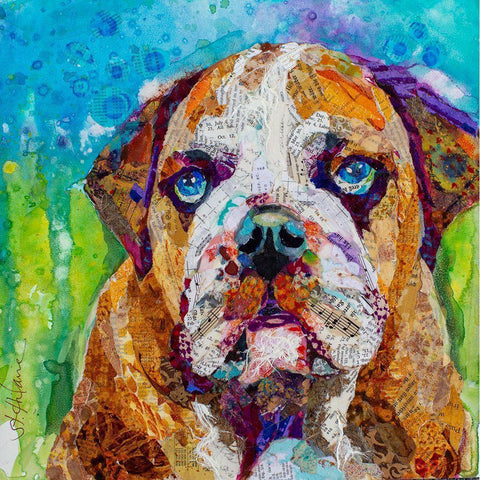 Bull Dog White Modern Wood Framed Art Print by St Hilaire, Elizabeth