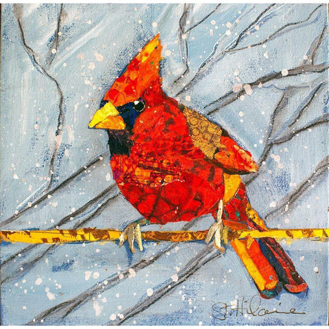 Winter Cardinal Male White Modern Wood Framed Art Print by St Hilaire, Elizabeth