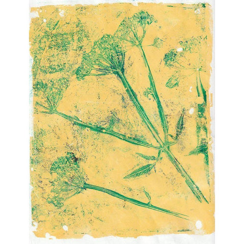 A Queen Anne I White Modern Wood Framed Art Print by St Hilaire, Elizabeth