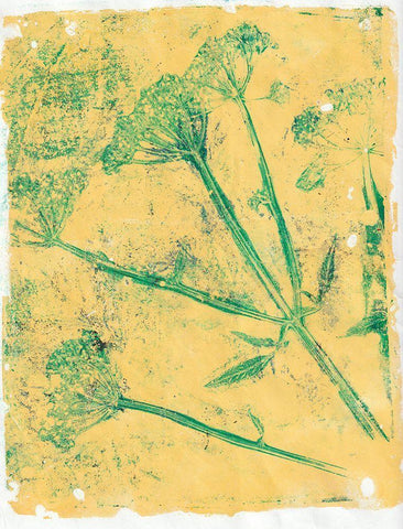 A Queen Anne I Black Ornate Wood Framed Art Print with Double Matting by St Hilaire, Elizabeth