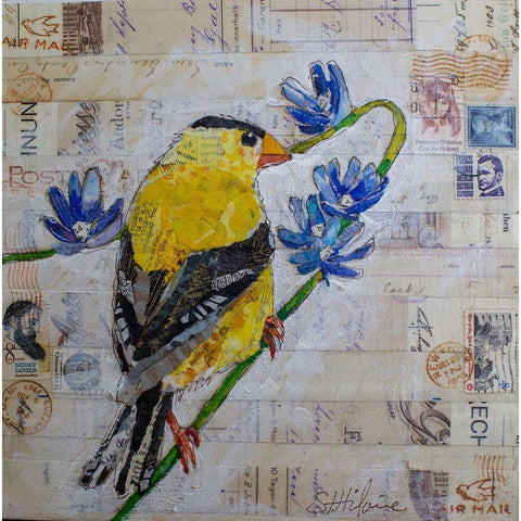 Gold Finch US Mail Black Modern Wood Framed Art Print with Double Matting by St Hilaire, Elizabeth