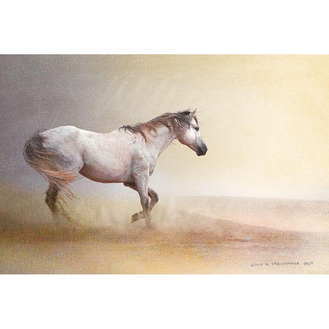 Dust Storm White Horse White Modern Wood Framed Art Print by Vest, Christopher