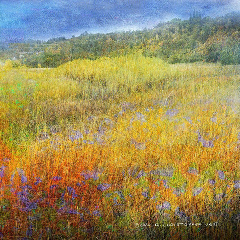 Lost Canyon Gold Ornate Wood Framed Art Print with Double Matting by Vest, Christopher