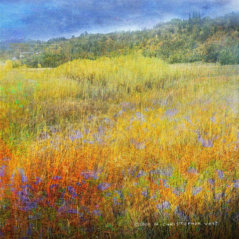 Lost Canyon White Modern Wood Framed Art Print with Double Matting by Vest, Christopher