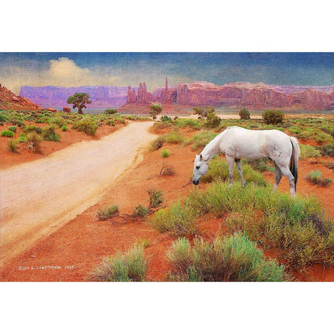 White Horse Road in Monument Valley White Modern Wood Framed Art Print by Vest, Christopher