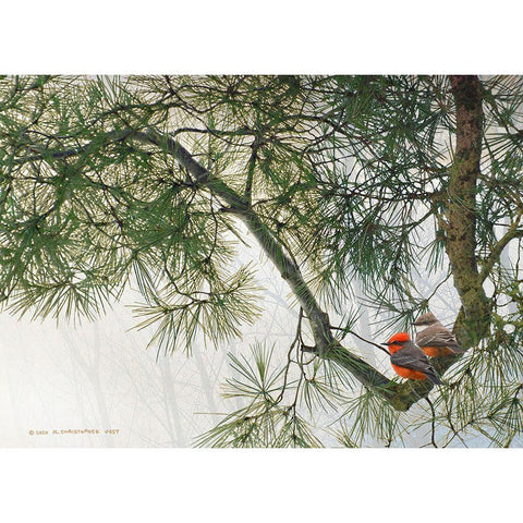 Vermillion Flycatchers on Crooked Branch Gold Ornate Wood Framed Art Print with Double Matting by Vest, Christopher