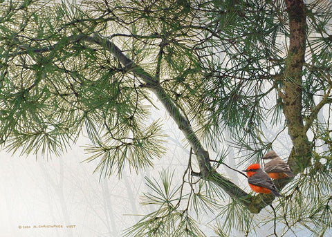 Vermillion Flycatchers on Crooked Branch Black Ornate Wood Framed Art Print with Double Matting by Vest, Christopher