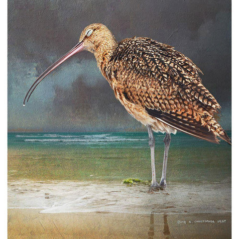 Blissful Curlew Gold Ornate Wood Framed Art Print with Double Matting by Vest, Christopher