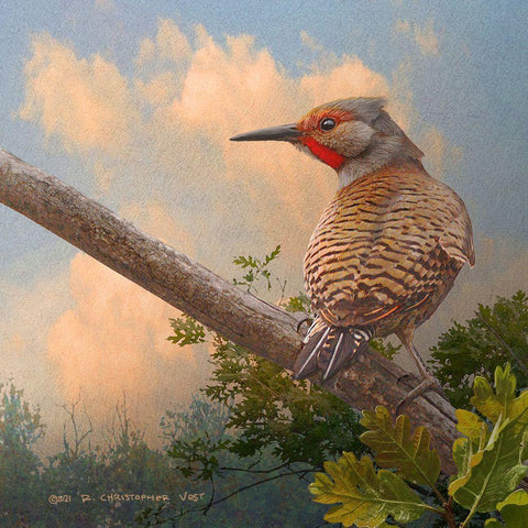 Flicker at Sunset Gold Ornate Wood Framed Art Print with Double Matting by Vest, Christopher