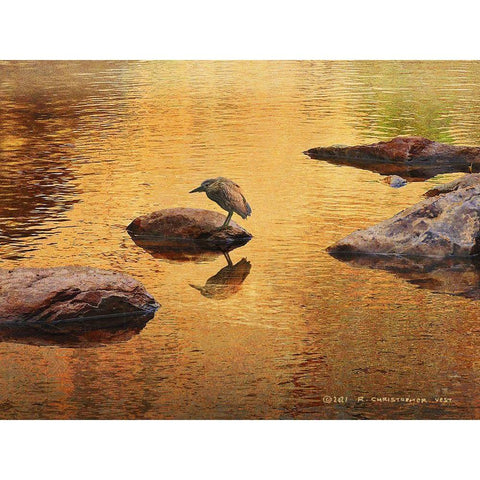 Copper Colored Stream Black Modern Wood Framed Art Print with Double Matting by Vest, Christopher