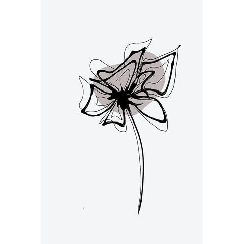 Minimal Gilia Flower White Modern Wood Framed Art Print by Haase, Andrea